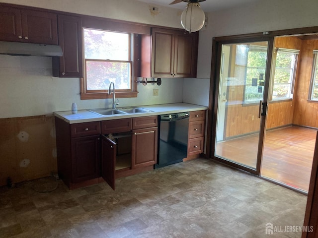 kitchen with a sink, under cabinet range hood, black dishwasher, and a healthy amount of sunlight