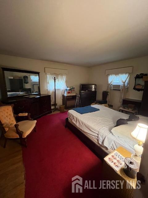 1436 Thomas Ave, North Brunswick, NJ 08902 - bedroom featuring multiple windows