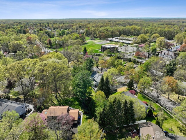 4 Franklin Ct, East Brunswick, NJ 08816 - aerial overview of property's location featuring a heavily wooded area