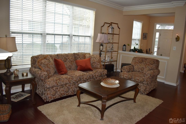 living room featuring ornamental molding, dark hardwood / wood-style flooring, and a healthy amount of sunlight