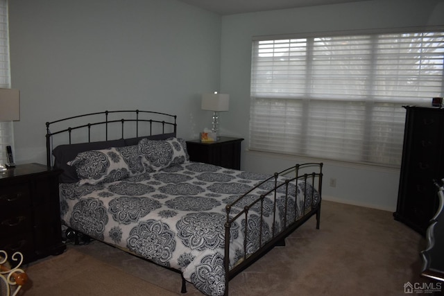 bedroom featuring carpet