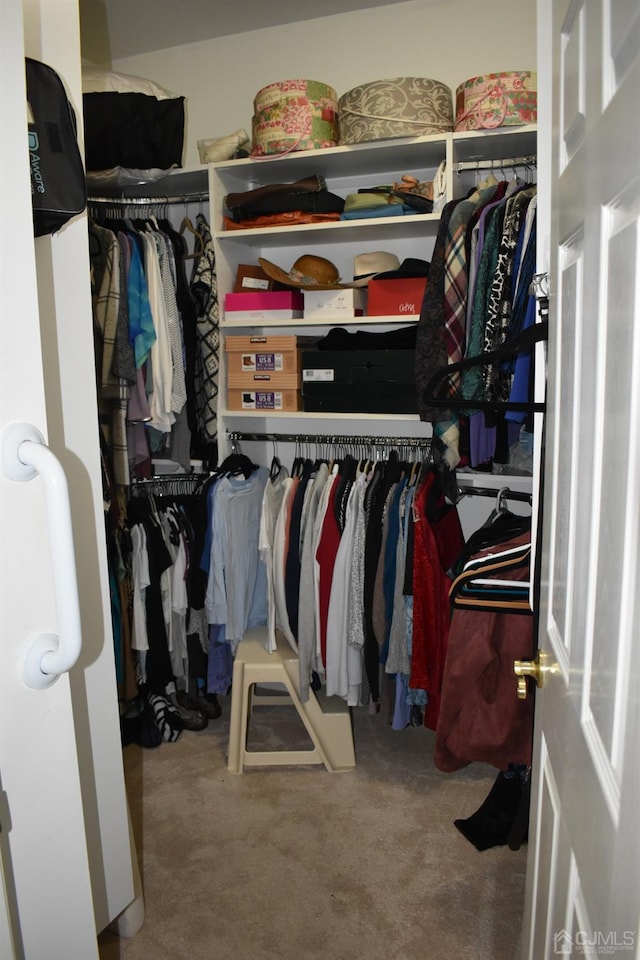 spacious closet featuring carpet floors