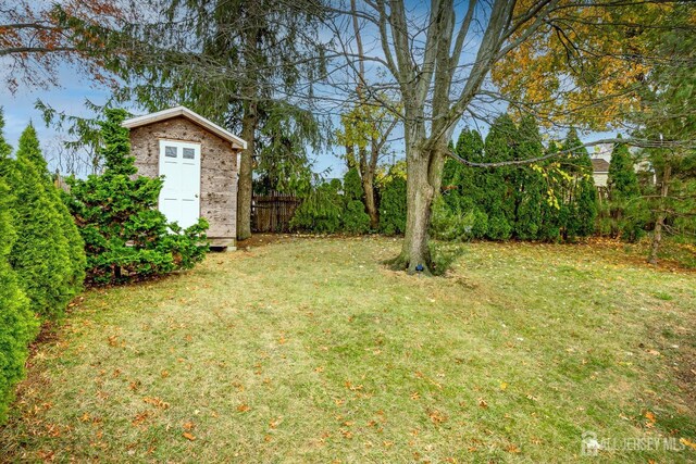 view of yard with a storage shed