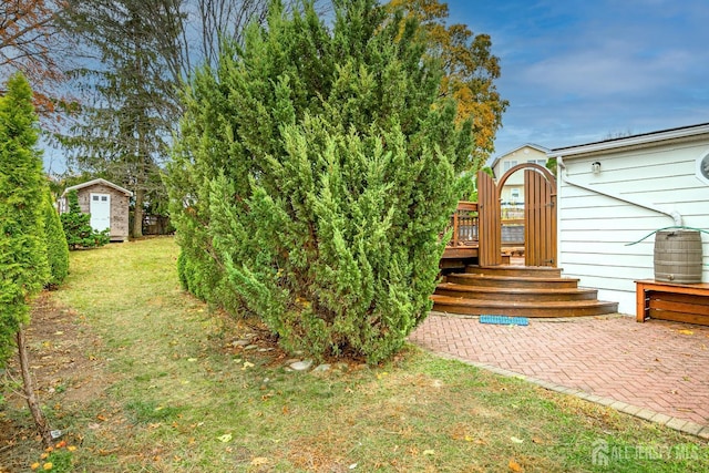 view of yard featuring a patio and a storage shed