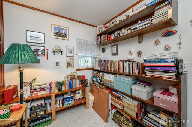 42 Shady Oak St, Old Bridge, NJ 08857 - photo 21