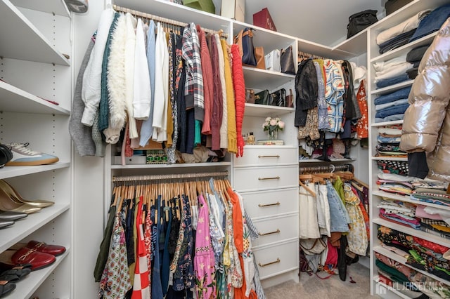 45 Athens Way, Aberdeen, NJ 07721 - spacious closet with carpet flooring