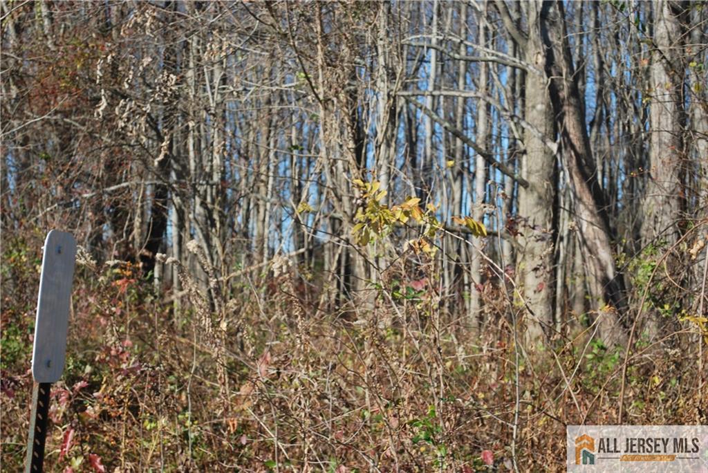 369 Rue Rd, Monroe, NJ 08831 - photo 2