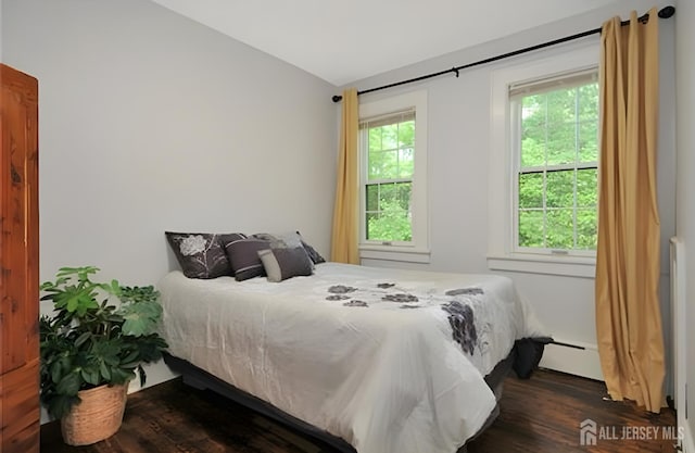 425 Grove Ave, Metuchen, NJ 08840 - bedroom featuring dark wood finished floors, lofted ceiling, and a baseboard radiator