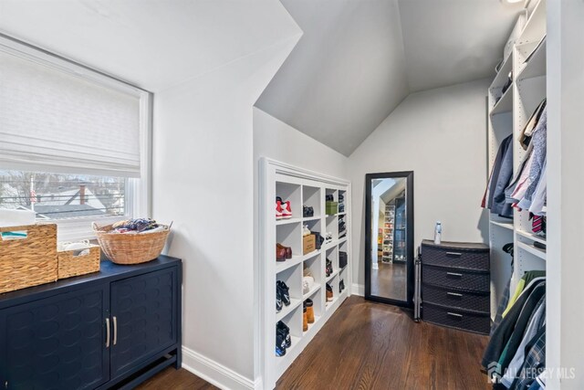 interior space featuring dark wood-type flooring and vaulted ceiling