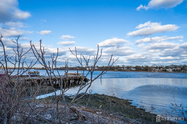 358 Rector St Unit 406, Perth Amboy, NJ 08861 - water view
