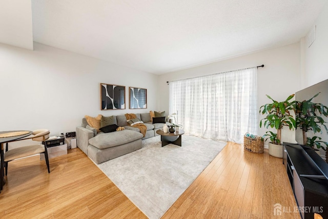 living room featuring wood finished floors