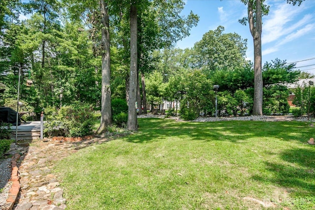 40 Montclair Ave, Edison, NJ 08820 - photo 53