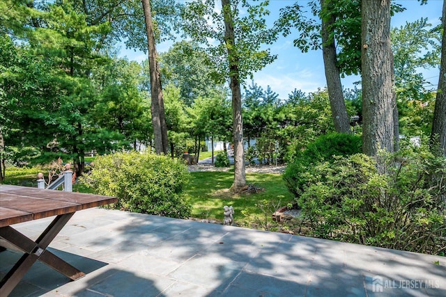40 Montclair Ave, Edison, NJ 08820 - photo 52