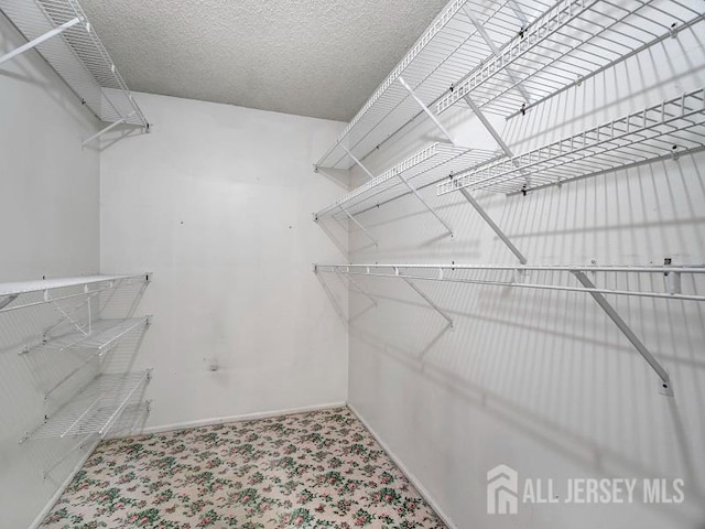 209 Wycoff Way W, East Brunswick, NJ 08816 - photo 12