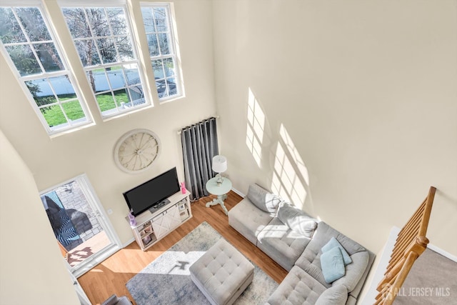 12 Jeremy Way, Old Bridge, NJ 08857 - living room featuring a high ceiling, wood finished floors, and baseboards