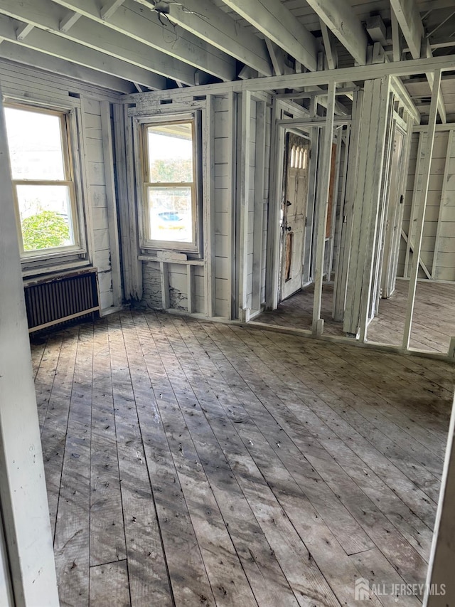 1534 Julian Ter, Union Twp, NJ 07083 - miscellaneous room featuring healthy amount of natural light and radiator