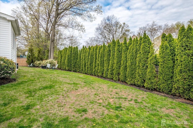 207 Dellwood Rd, Metuchen, NJ 08840 - view of grassy yard