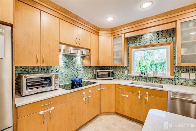 207 Dellwood Rd, Metuchen, NJ 08840 - kitchen with a sink, stainless steel appliances, under cabinet range hood, decorative backsplash, and glass insert cabinets