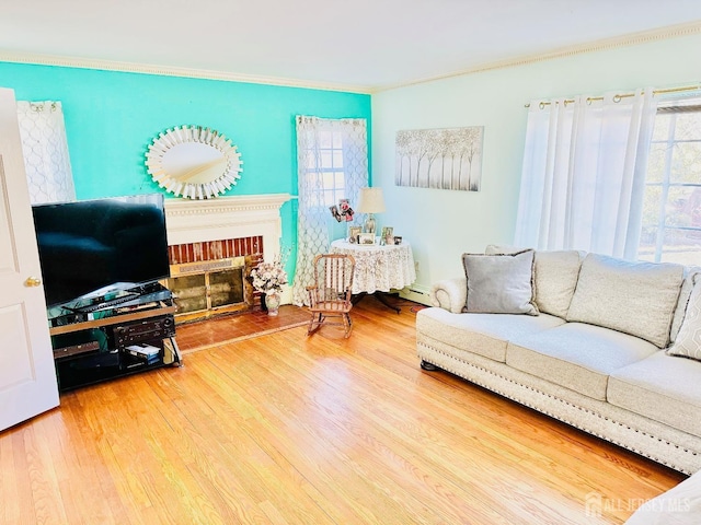 living room featuring a glass covered fireplace, a baseboard radiator, crown molding, and wood finished floors