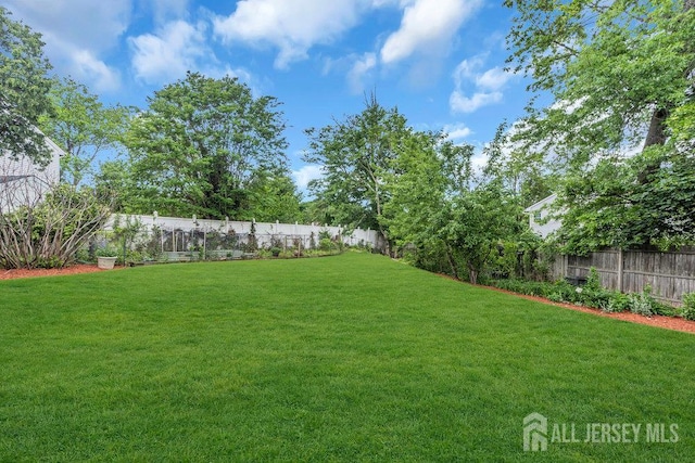 51 Sturbridge Dr, Piscataway, NJ 08854 - photo 64