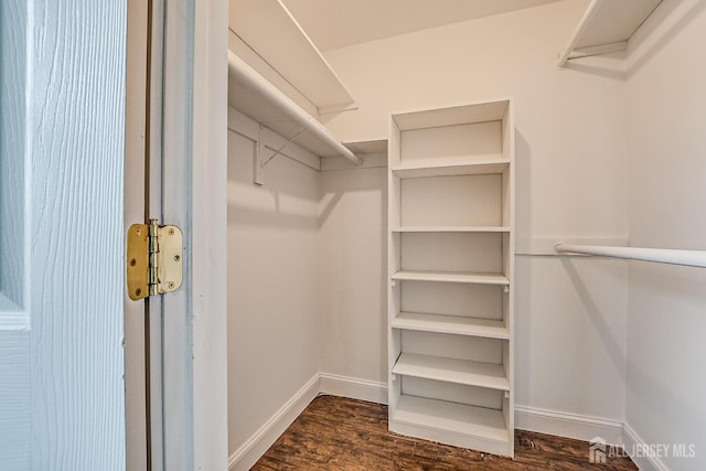 walk in closet featuring dark hardwood / wood-style flooring