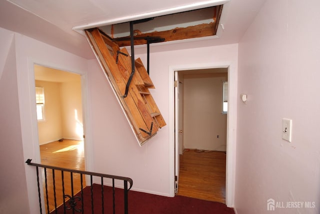 stairway with hardwood / wood-style flooring