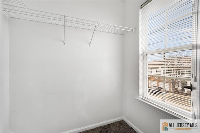 spacious closet featuring carpet flooring