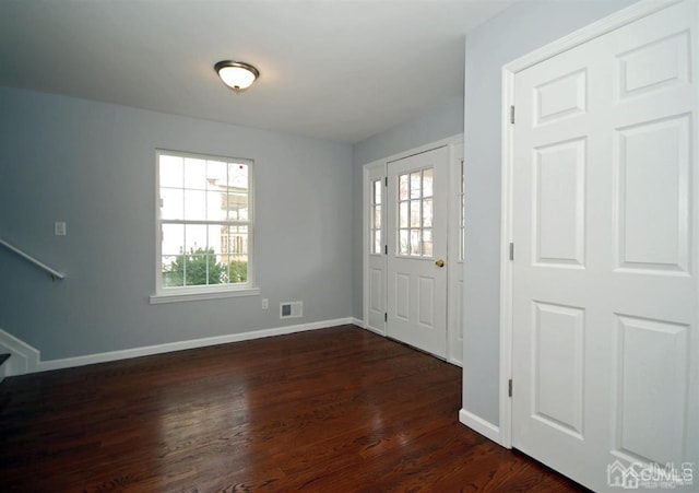 foyer featuring dark hardwood / wood-style flooring and a healthy amount of sunlight