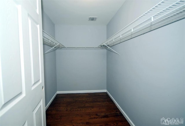 spacious closet with wood-type flooring