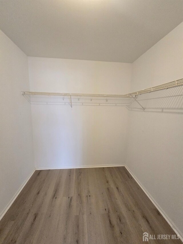 spacious closet with hardwood / wood-style flooring