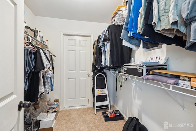 267 Tyler Ct, Monroe, NJ 08831 - spacious closet featuring carpet floors