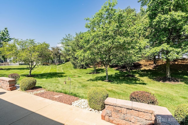 267 Tyler Ct, Monroe, NJ 08831 - view of green lawn