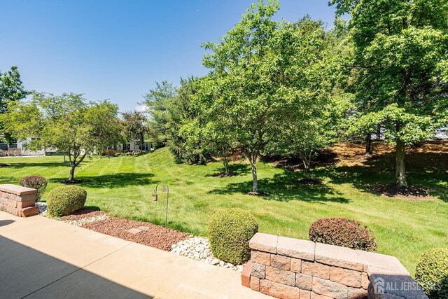 267 Tyler Ct, Monroe, NJ 08831 - photo 43