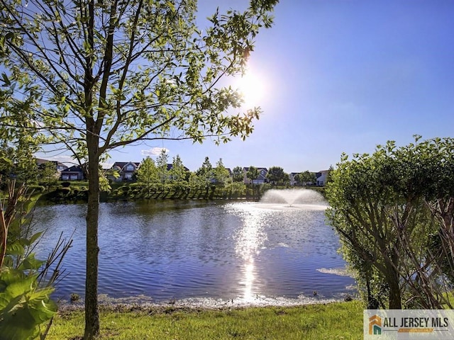 view of water feature