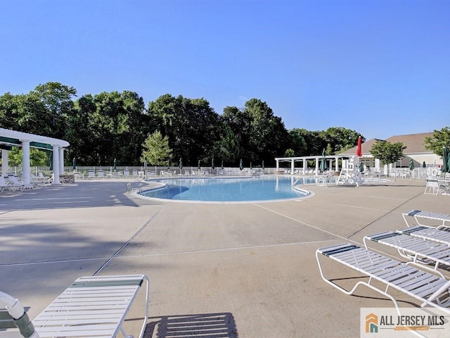 view of swimming pool with a patio