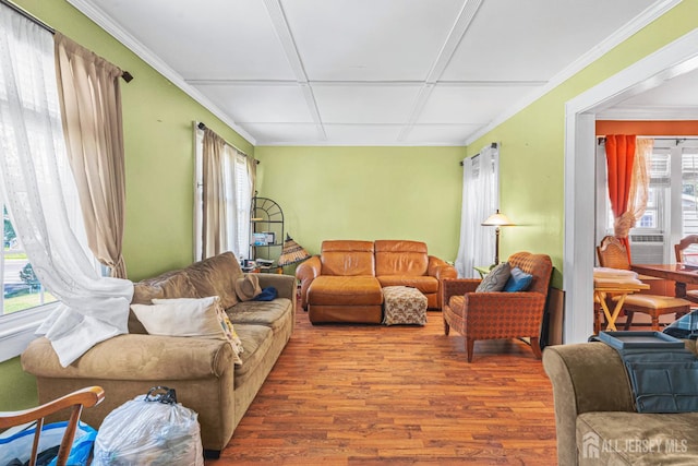 305 Penfield Pl, Dunellen, NJ 08812 - living room with plenty of natural light, wood finished floors, and cooling unit
