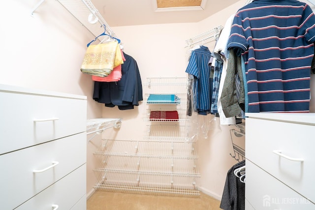5 Fairmount Ct, Monroe, NJ 08831 - walk in closet featuring carpet floors