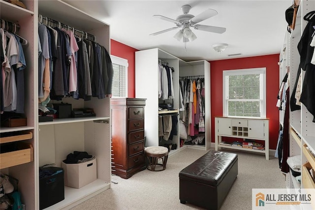 241 E Chestnut Ave, Metuchen, NJ 08840 - spacious closet with ceiling fan and carpet