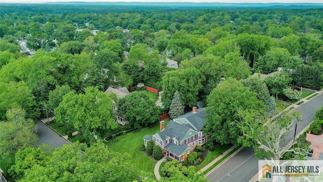 241 E Chestnut Ave, Metuchen, NJ 08840 - aerial view of property and surrounding area with a forest