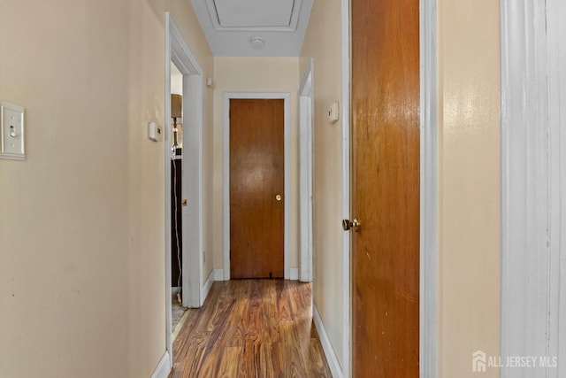 15 Cutter Ave, Fords, NJ 08863 - hall featuring wood finished floors and baseboards