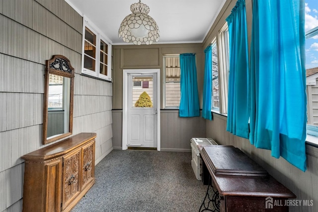 mudroom with a healthy amount of sunlight and carpet floors