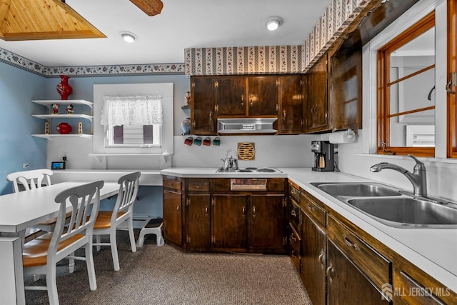 kitchen with under cabinet range hood, dark brown cabinetry, white electric cooktop, and light countertops