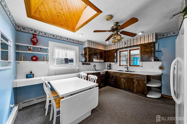 kitchen featuring open shelves, a tray ceiling, a sink, dark brown cabinetry, and a baseboard radiator