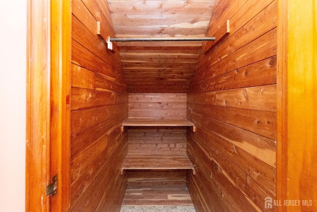 2624 Tremley Point Rd, Linden, NJ 07036 - closet featuring a sauna