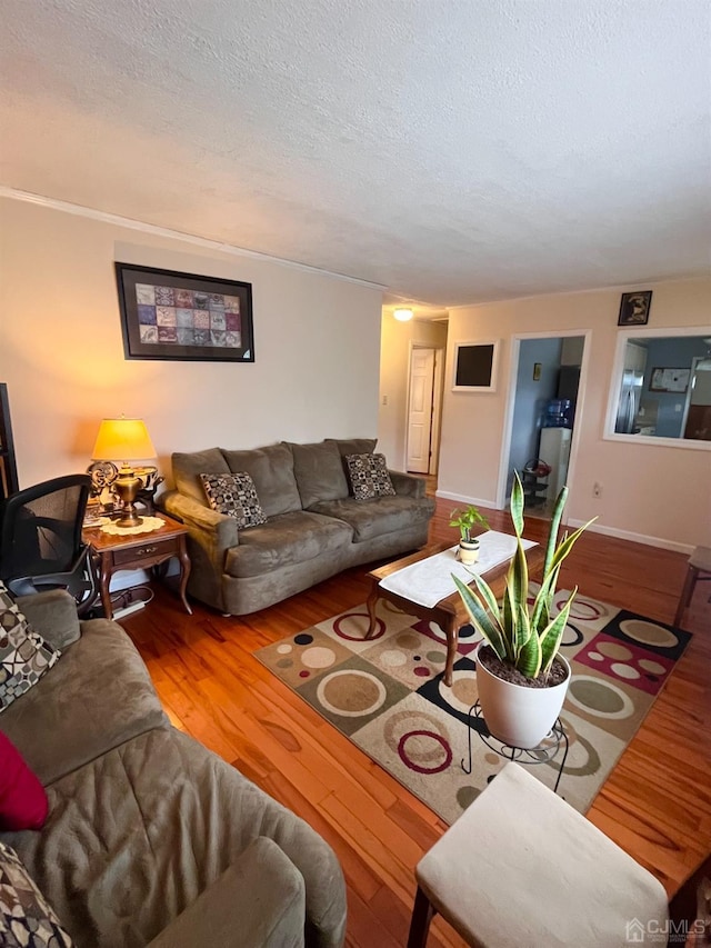 40 Haines Ave, Piscataway, NJ 08854 - photo 5