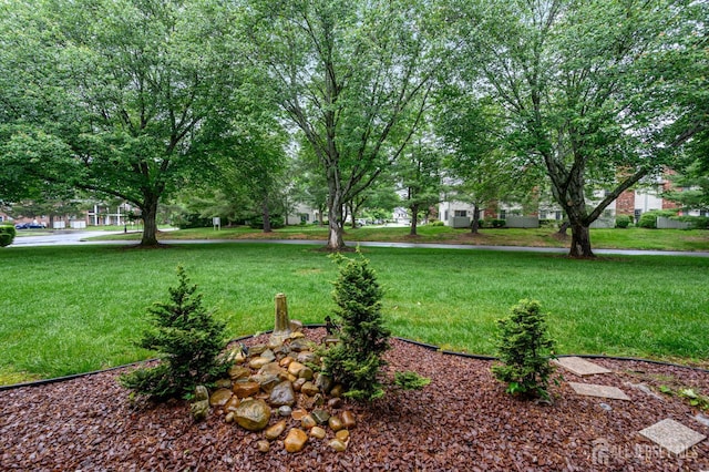 101 Mandon Ct Unit 4, South Brunswick, NJ 08540 - view of green lawn