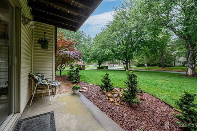 101 Mandon Ct Unit 4, South Brunswick, NJ 08540 - view of green lawn