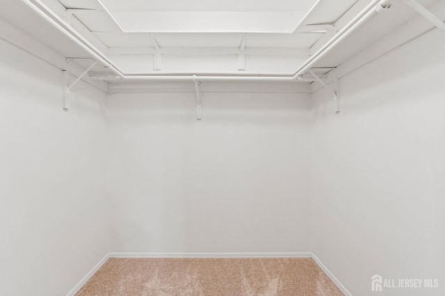 123 Concordia Cir Unit G, Monroe, NJ 08831 - walk in closet with carpet floors