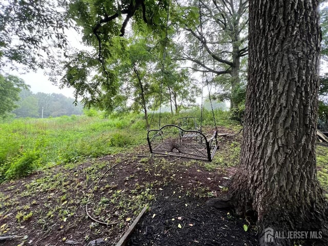 520 Albermarle St, Rahway, NJ 07065 - view of yard