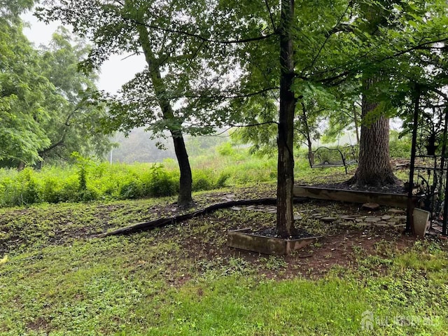 520 Albermarle St, Rahway, NJ 07065 - view of yard